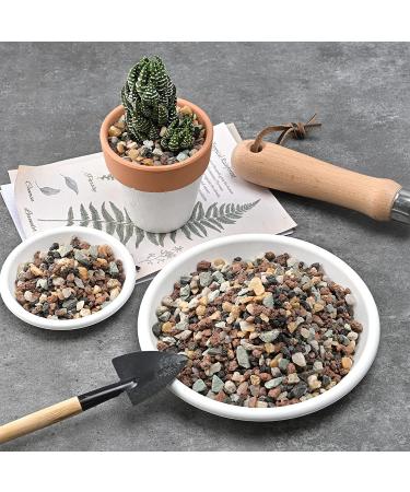 Succulent Cactus Bonsai Gritty Mix Stones (2 LB)  Small Decorative Horticultural Gravel Rocks for Aquarium  Terrariums  Fairy Garden  Top Dressing  Soil Additive for Potted Houseplants 2 LB Bonsai Gritty Mix Stones - Buy Online on SooperMarket.com