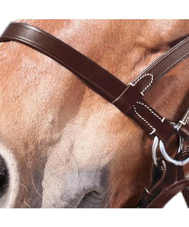 Shop WALDHAUSEN Star Bitless Bridle for Warmbloods Brown | International Shipping Available - Buy Online on SooperMarket.com