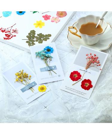EBOOT 72 Pieces Real Dried Pressed Flowers Set for DIY Crafts & Floral Decor - Mixed Dry Flowers for Candle, Resin, Jewelry & Nail Art - Buy Online on SooperMarket.com
