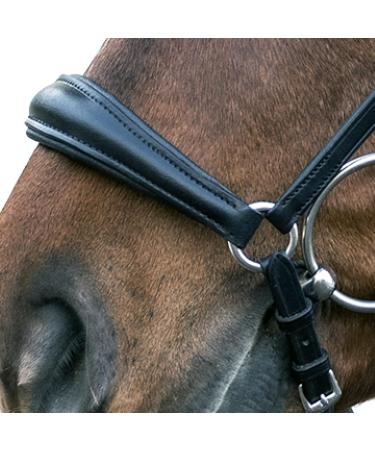 Buy Star Waldhausen Bridle Hannover Black Pony Premium Quality Equestrian Gear for International Shipping - Buy Online on SooperMarket.com