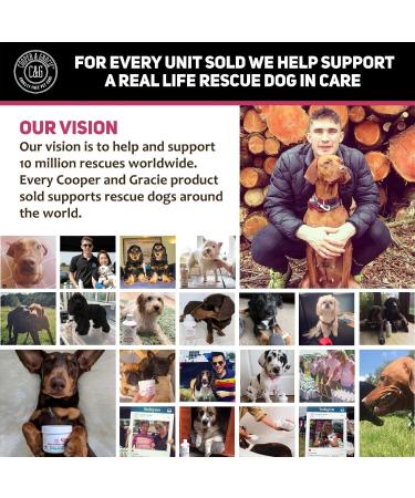 C&G Pets | No Chew Bitter Apple Spray for Dogs | Stop Dog Chewing Deterrent | Alcohol Free Anti Chew Repellent Formula for Puppies Cats Horses and Rodent Pets - Buy Online on SooperMarket.com