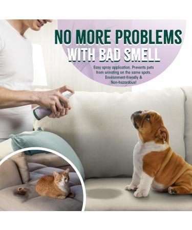 Organic Odor Remover for PETS | Unscented Vegan & Eco-Friendly | Ideal Pet Spray Odor Eliminator for Dog & Cat Urine | Removes Odor from Urine Feces & Vomit | Made in Germany | 500 ML - Buy Online on SooperMarket.com