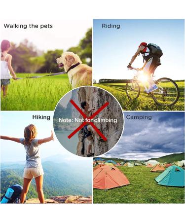 Zalava 6pcs 2D-Clip Locking Carabiner Keychain Clips in 6 Colors - Buy Online on SooperMarket.com