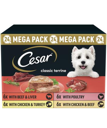 Cesar Country Stew Dog Food Chicken and Vegetable 24 x 150 g Country Stew with Chicken & Vegetable in Gravy 150 g (Pack of 24)