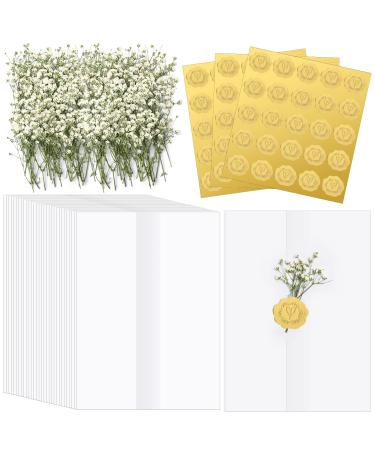 Fabbay Wedding Invitations Wraps Set Include Pre Folded Vellum Jackets for 5x7 Invitations Natural Dried Pressed Flowers Gold Self Adhesive Envelope Seal Stickers for Craft DIY(50)
