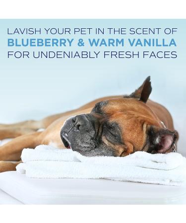 Tropiclean Oxymed Lavish Blueberry Facial Scrub 3.8L - Gentle Cleanser for Radiant Skin | International Shipping Available - Buy Online on SooperMarket.com