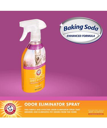 Arm & Hammer for Pets Pet Scents Room Spray 18 oz - Lavender Fields Pet Odor Eliminator - Home Air Freshener for Dog Odors - Buy Online on SooperMarket.com