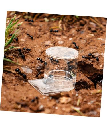 FOMIYES Pet Water Feeder Ant Nest Feeder Ant Nest Water Cup Ant Keeper Tools Climbing Pet Water Dispenser - Buy Online on SooperMarket.com