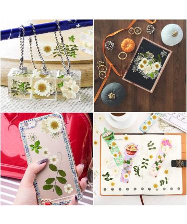 Nuanchu 81 Pcs White Dried Pressed Flowers & Leaves for Resin Jewelry, Scrapbooking & Art - Larkspur, Gypsophila - Floral Decorations - White - Buy Online on SooperMarket.com