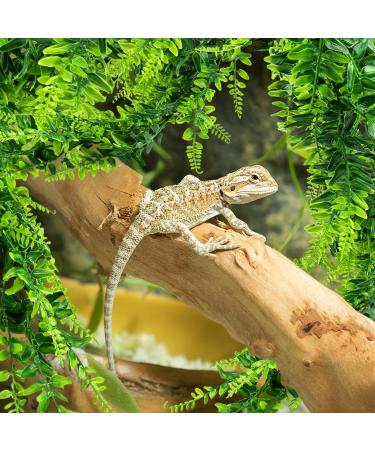 Quozuo 2-Pack Artificial Hanging Plant Terrarium Accessories | Ideal for Reptile Tanks & Home D cor - Perfect for Bearded Dragons Lizards Geckos & Snakes - Buy Online on SooperMarket.com