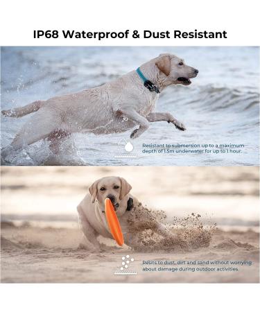 DOGNESS Waterproof GPS Tracker for Dogs and Cats - Live Tracking & Emergency Alerts - Size M - Buy Online on SooperMarket.com