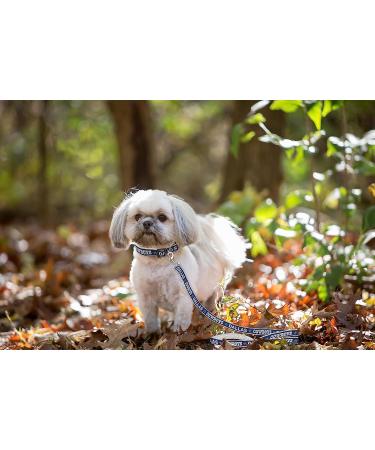 Pets First NFL Large Pet Leash | Officially Licensed Dog Leash - Buy Online on SooperMarket.com