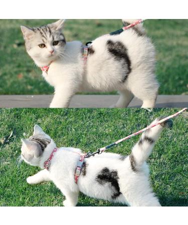 Petom Flower Pattern Cat Dishes & Leash Set | Round Lanyard for Cats - Shop Internationally! - Buy Online on SooperMarket.com