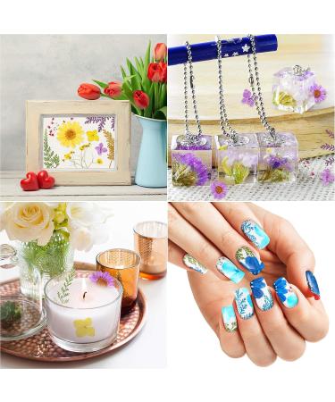 109 Piece Real Dried Pressed Flowers Set with Tweezers - Craft DIY Candle Resin Jewelry Nail Pendant Making Supplies - Buy Online on SooperMarket.com