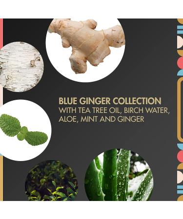 MY BLACK IS BEAUTIFUL Balancing Sulfate-Free Conditioner - Blue Ginger Mint, 8.4 fl oz - Buy Online on SooperMarket.com