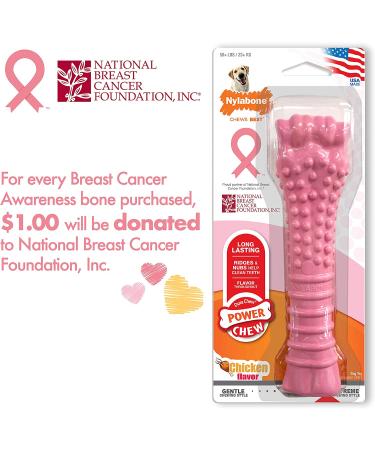 Nylabone Power Chew Breast Cancer Awareness Pink Dog Toy - Chicken Souper Chew - Buy Online on SooperMarket.com