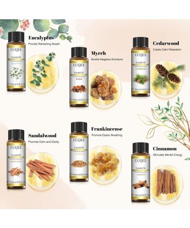EUQEE Woody Aromatherapy Essential Oils Set - Eucalyptus, Cedarwood, Sandalwood, Frankincense, Cinnamon, Myrrh - 6 x 10ml White Bottles - Buy Online on SooperMarket.com