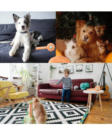 BNFGD 1Pcs Pet Hair Cleaner Brush Cute Cat Brush Dog Brush Pet Combing Brush Pet Combing Brush with Hair Removal Button Artifact for Stroking Cats and Dogs Pet Hair Cleaner Brush(Orange) - Buy Online on SooperMarket.com