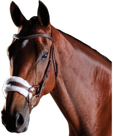 Collegiate ComFiTec Sheepskin Bridle Black Full Size - Premium Quality Horse Bridle for Comfort & Style | International Shipping Available - Buy Online on SooperMarket.com