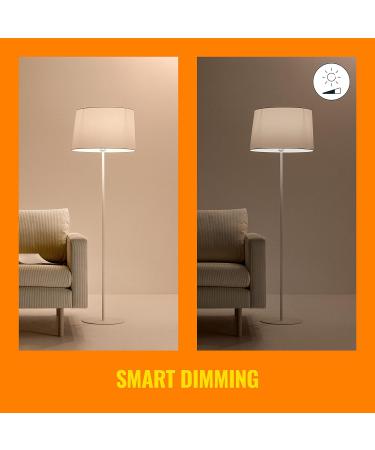 WiZ Connected Tunable White A19 Smart WiFi Light Bulb Dimmable 2700K - 6500K Smart Control with WiZ App Compatible with Alexa Google Assistant and Siri Shortcuts No Hub Required 1 Bulb A19 Tunable White 1 Count (Pack of 1) - Buy Online on SooperMarket.com