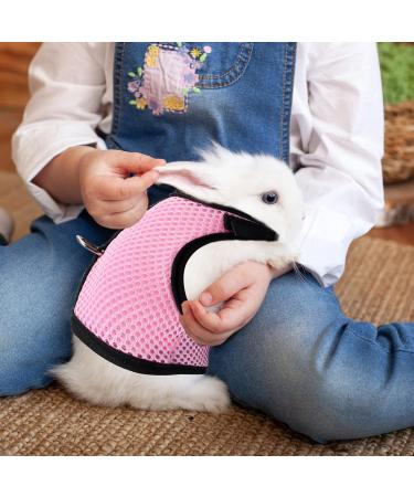 Buy Tibapla Adjustable Rabbit Dishes with Elastic Leash - Perfect Kitty & Small Animal Bowl - Pink (M) - Buy Online on SooperMarket.com