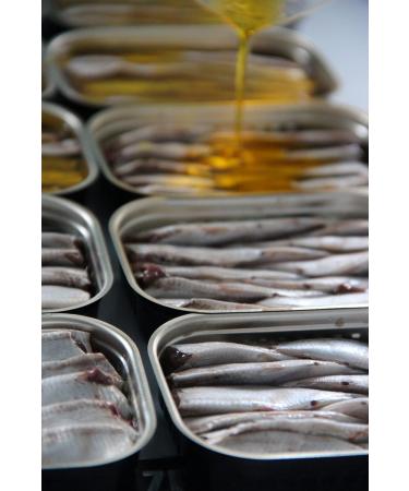 FANGST Brisling No. 1 - Premium Nordic Sardines Smoked with Heather & Chamomile from Denmark | Buy Internationally - Buy Online on SooperMarket.com