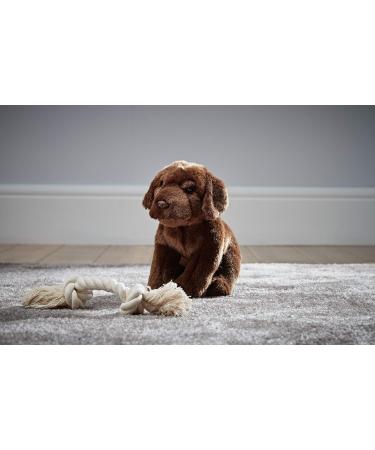 Living Nature 20cm Brown Chocolate Labrador Soft Toy - Realistic Stuffed Dog - Buy Online on SooperMarket.com