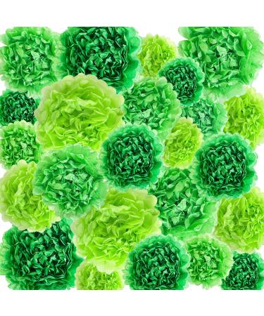 24 Pcs Green Paper Flowers for Wall Tissue Paper Flowers Mexican Carnival Pom Flower for Baby Shower Wall Decorations Wedding Backdrop