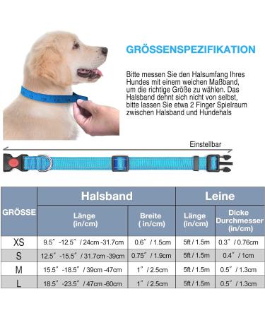 Haapaw Neoprene Padded Reflective Dog Collar for Small & Medium Dogs - Breathable Nylon - XS Blue - Buy Online on SooperMarket.com