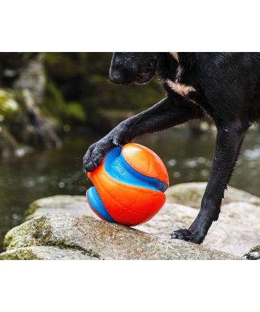 Chuckit! Large Regular Glow Ball - Bright and Durable Fetch Toy - Buy Online on SooperMarket.com