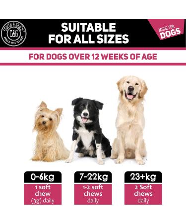 Dog Urinary Health Supplements 60 Soft Chews | Antibiotic Remedy | Stimulates Immune System & Maintains Overall Health | Cranberry & Echinacea | Wheat Free | Veterinarian Formulated Dog Urinary Care - Buy Online on SooperMarket.com