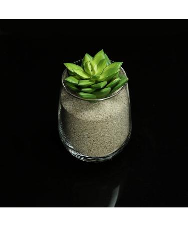 2 lb Natural Decorative Real Sand for Vase Filler, Interior Decor, Sand Crafts - Buy Online on SooperMarket.com