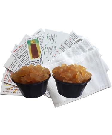 2 LARGE PORTION CUPS of Live Florida Sun Kefir LARGE Water Kefir Grains (Tibicos) Natural Probiotics