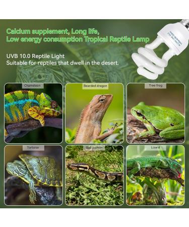 Caldarax UVB Lamp 10.0 for Turtles & Reptiles | 26W E27 UVB Light for Lizards Chameleons & Snakes - International Shipping Available - Buy Online on SooperMarket.com