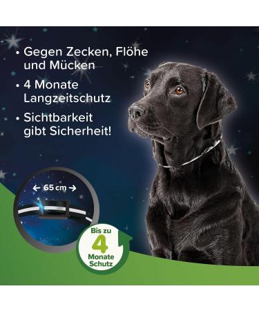 Beaphar Tick & Flea Protection Collar for Dogs - Waterproof Reflective Collar Effective Tick & Flea Defense International Shipping - Buy Online on SooperMarket.com