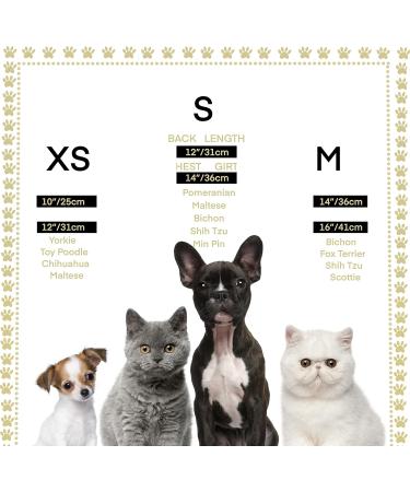 Lovelyshop Royal Tiger Crouncey Diamond Pearls - X Small Silver Crown for Dogs & Cats | Stylish Hair Accessories - Buy Online on SooperMarket.com