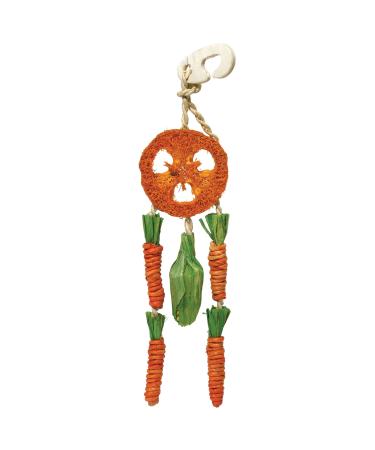 Rosewood Boredom Breaker Carrot Dream Catcher for Small Animals clear
