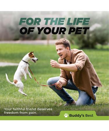 BUDDY'S BEST Anti-Inflammatory for Dogs - All-Natural Joint Pain Relief with Flaxseed Hemp Ginger & Turmeric Oils Soothing Formula 50ml - Buy Online on SooperMarket.com