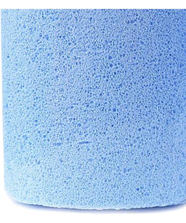 Foam Glass Callus Remover Pumice Stone Dead Skin Removal Soften Feet Portable Design for Professional Foot Care with Hygienic Foot Exfoliation Tool (Blue) - Buy Online on SooperMarket.com