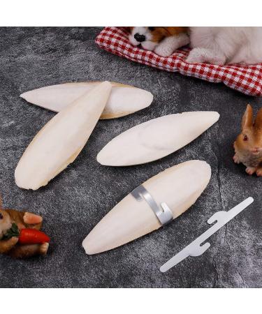 Bohoman 4-Piece Sepia Shell Parrot Chewing Toys with Metal Holders - Ideal for Birds Reptiles & Snails | 12-14cm - Buy Online on SooperMarket.com