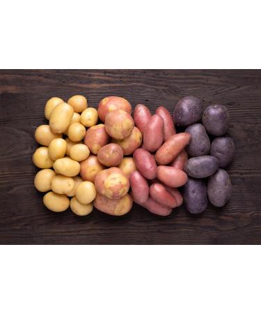 Mynatura Potato Fibers 1kg | Ideal for Soup & Potato Bread | High-Fiber Health Supplement - Buy Online on SooperMarket.com