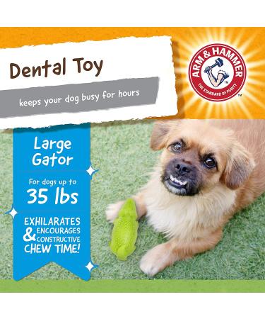 Arm & Hammer Treadz Gator Dental Toy for Strong Chewers - Large Size - Buy Online on SooperMarket.com