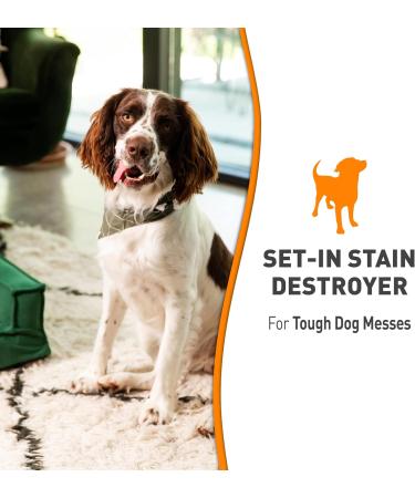 Nature's Miracle Stain & Odor Remover Oxy - 32oz Trigger 32oz (Trigger) For Dogs Nature's Miracle Stain & Odor Remover Oxy - 32oz Trigger - Buy Online on SooperMarket.com