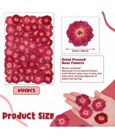 100 Pcs Red Rose Dried Pressed Flowers - Natural Resin Filler for DIY Crafts and Decor - Buy Online on SooperMarket.com