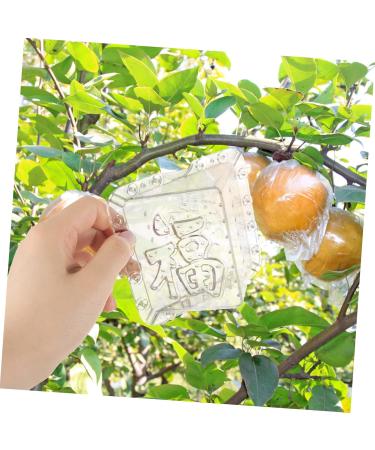 GANAZONO 4 Pcs Square Apple Molds Mushroom Square molds for Garden Shaper Cucumber Alien - Buy Online on SooperMarket.com