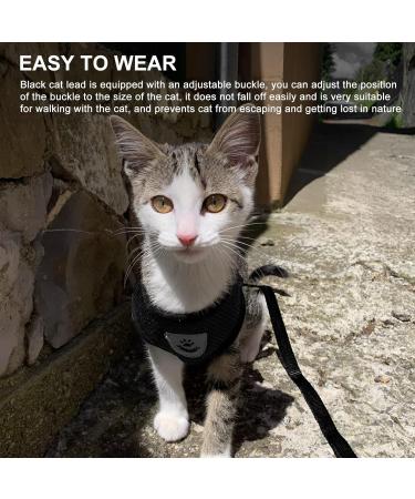 Buy Nizirioo Cat Harness & 2 Safe Cat Dishes - Stylish Black Set for Small Medium Pets - Buy Online on SooperMarket.com