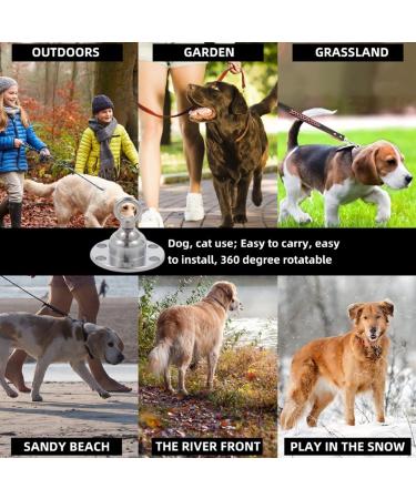 Qcwwy Stainless Steel Dog Anchor | 360 Rotatable Rust-Free 5m Cable for Large Dogs | Durable Pet Anxiety Solution for Courtyard Lawn & Outdoor Camping - Buy Online on SooperMarket.com