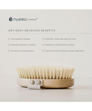 Hydrea London Natural Dry Body Brush | Exfoliating Skin Brush | Cellulite Remover | Lymphatic Drainage | FSC Certified - Buy Online on SooperMarket.com