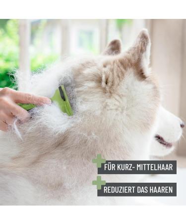 Reavet Unterwollkamm for Short-Haired Dogs & Cats | Self-Cleaning Deshedding Comb for Small Breeds - Buy Online on SooperMarket.com