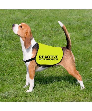 CENWA Reactive Dog Jacket Vest Dog Reactive Dog Training/Reactive Not Aggressive Service Dog Slogan Warning Vest (Reactive Not Aggressive L EU) - Buy Online on SooperMarket.com